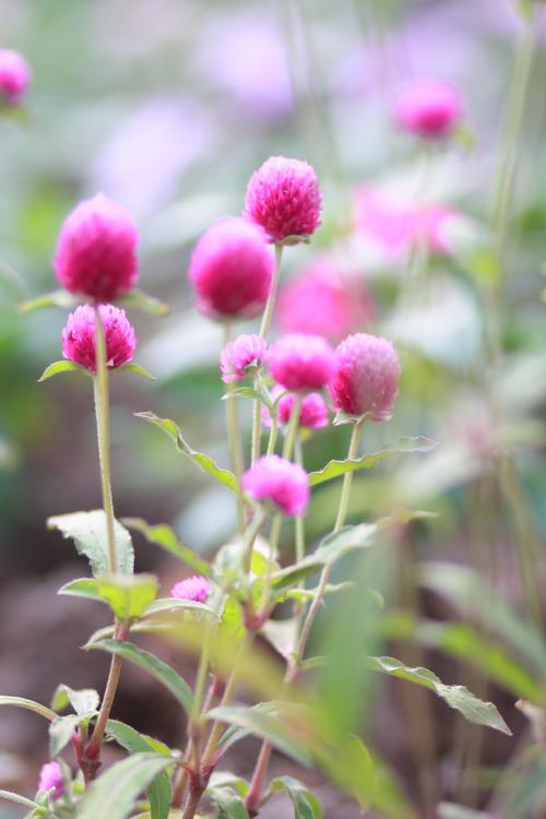 監制:廣州不二文化傳播有限公司  廣州不二文化傳播有限公司業務簡介