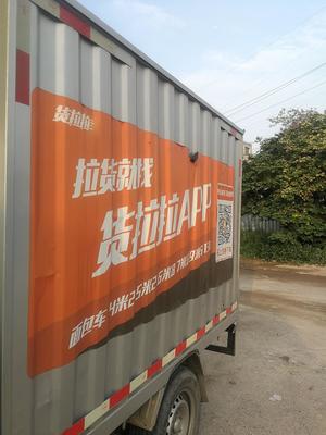 貨拉拉車貼是否違規(guī)